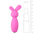 Vibrerende Mini Bunny Vibrator_13