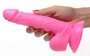 Poppin Dildo 16,5 cm - Roze_13