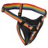 Take the Rainbow Universeel Strap-on Harnas_13