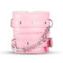 Secret Pleasure Chest - Pink Pleasure_13